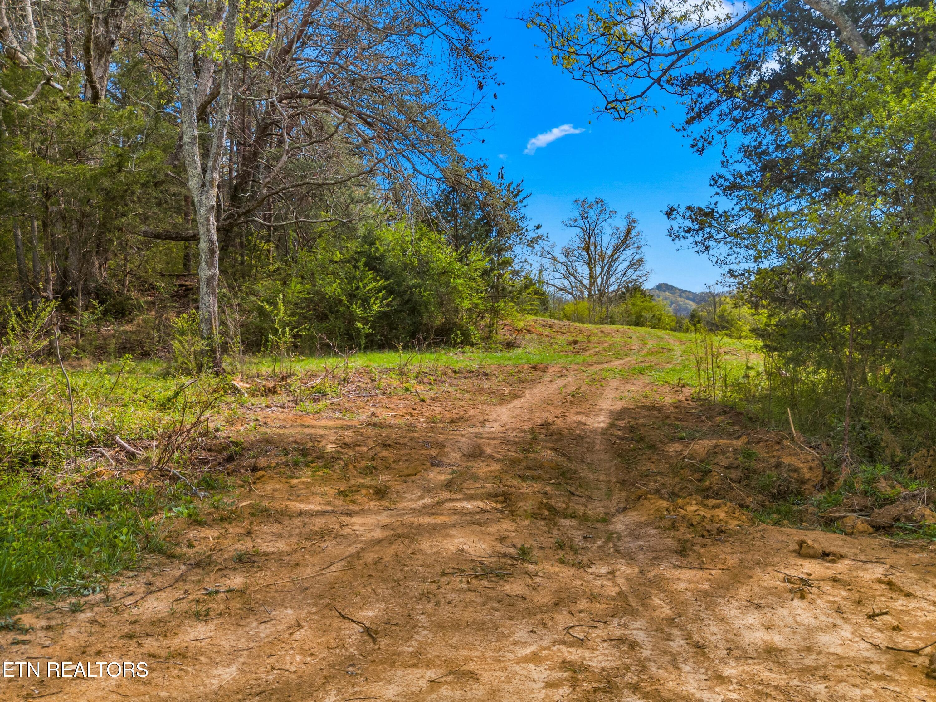 Bogard Road Newport TN 37821