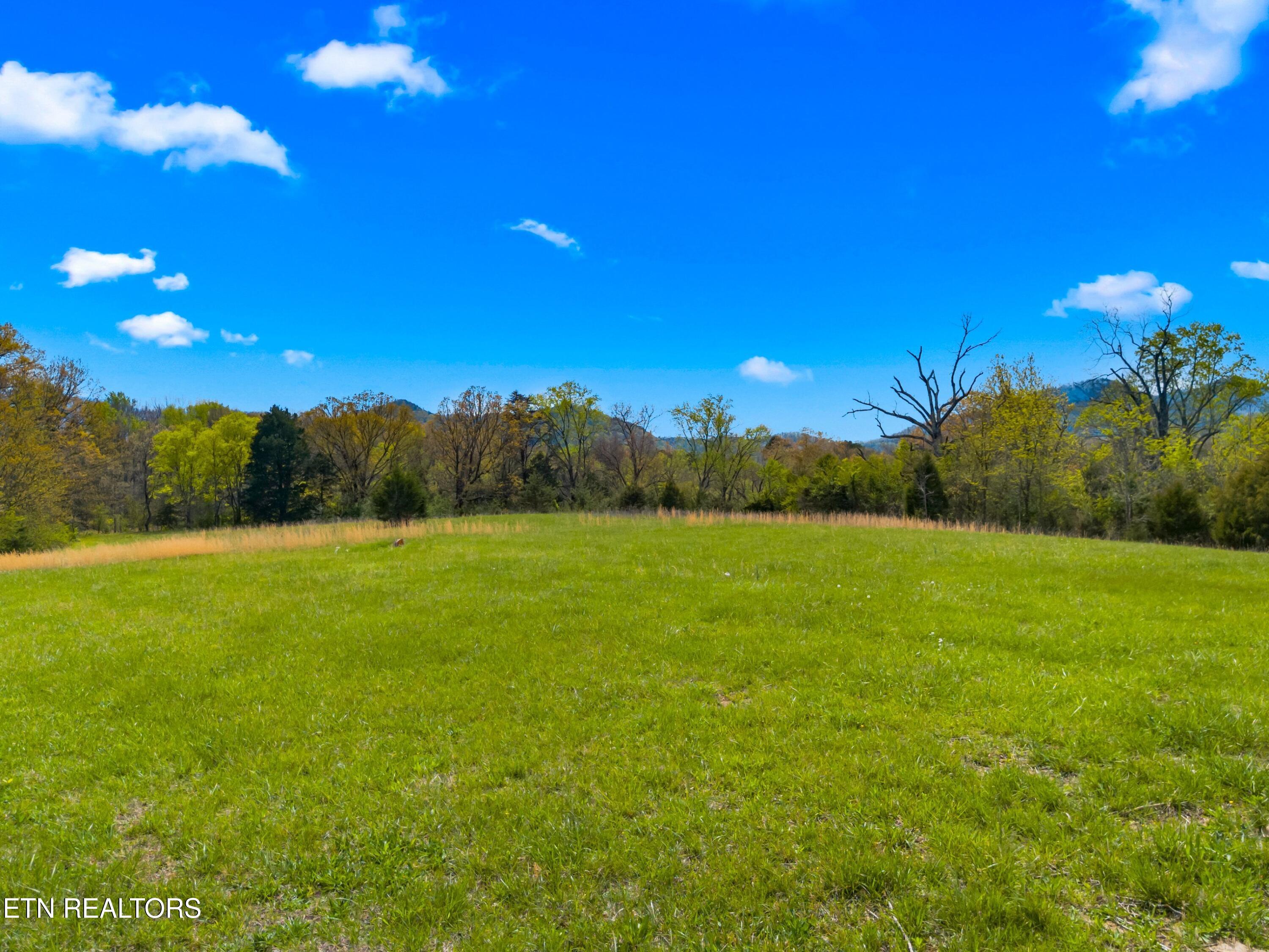 Bogard Road Newport TN 37821