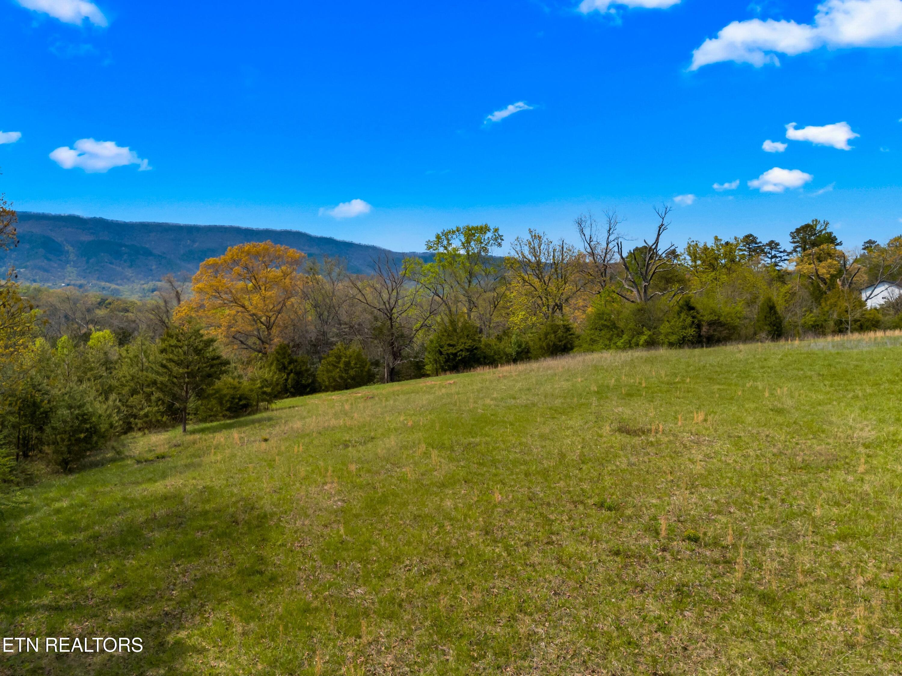 Bogard Road Newport TN 37821