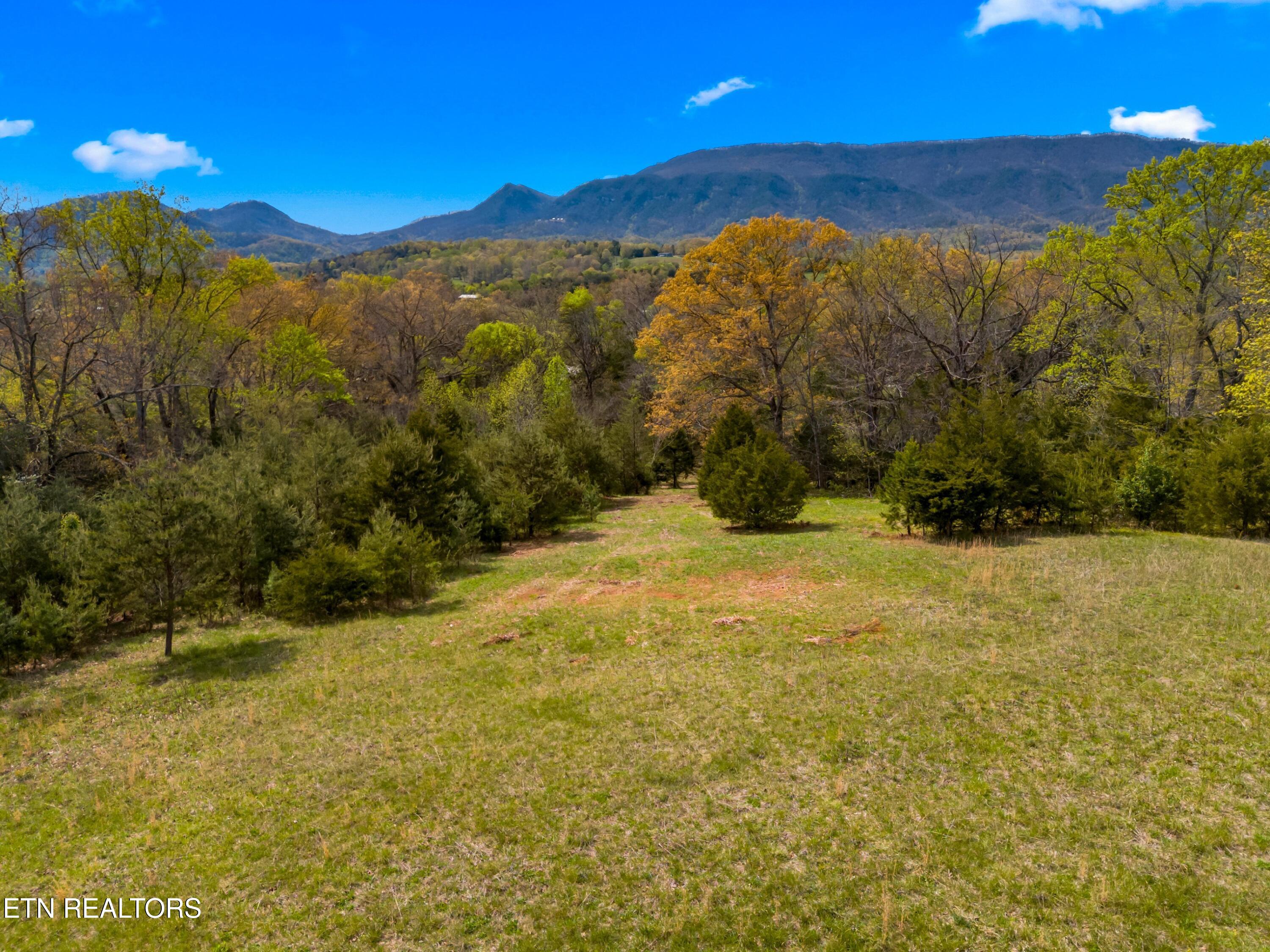 Bogard Road Newport TN 37821