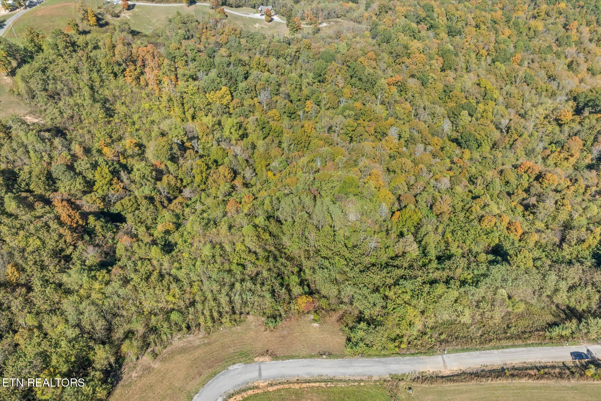 17C Rockfish Road Hilham TN 38568
