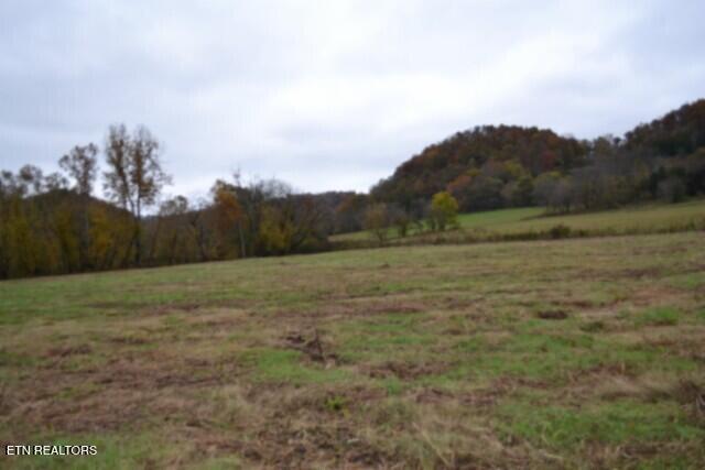 146 Copeland Road Celina TN 38551