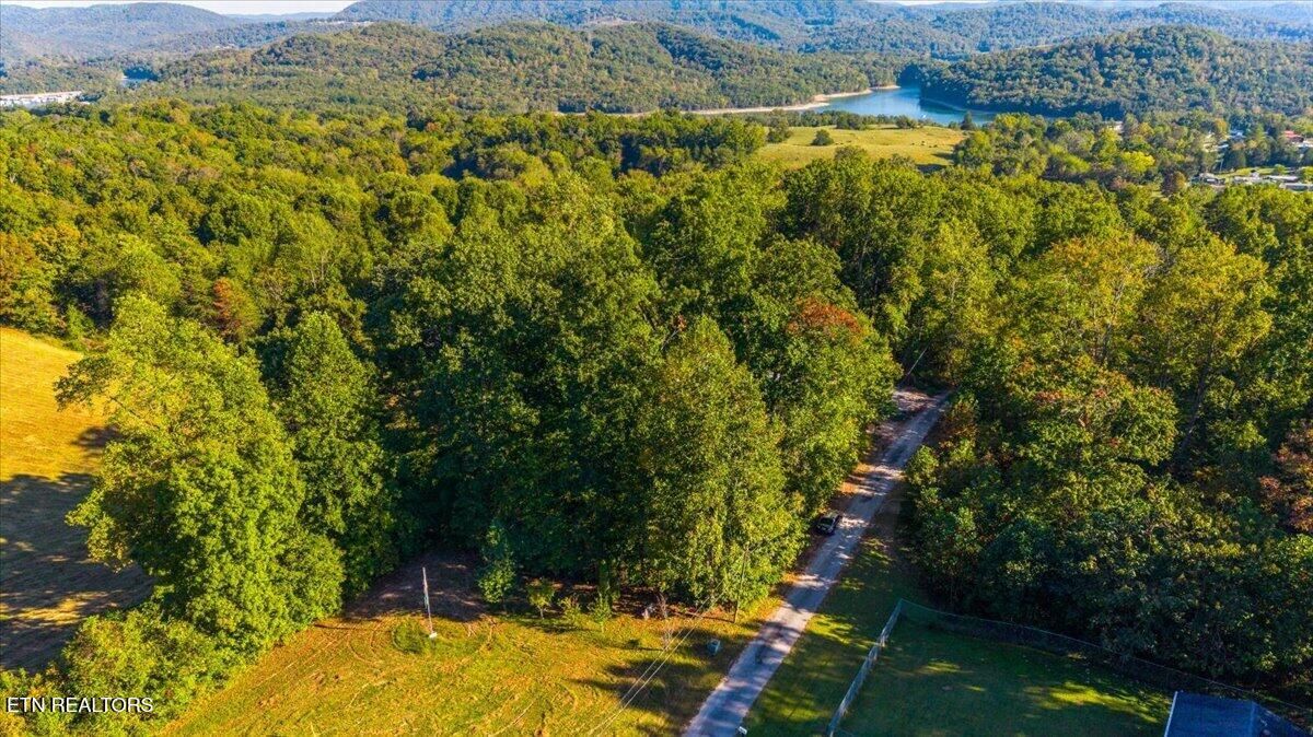Center Lane New Tazewell TN 37825
