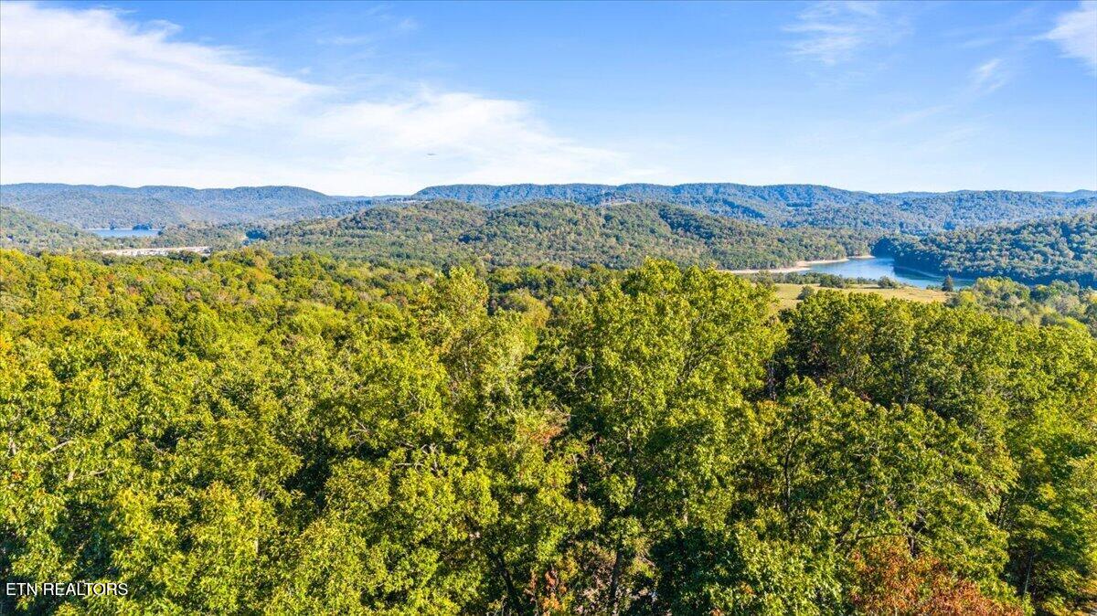 Center Lane New Tazewell TN 37825