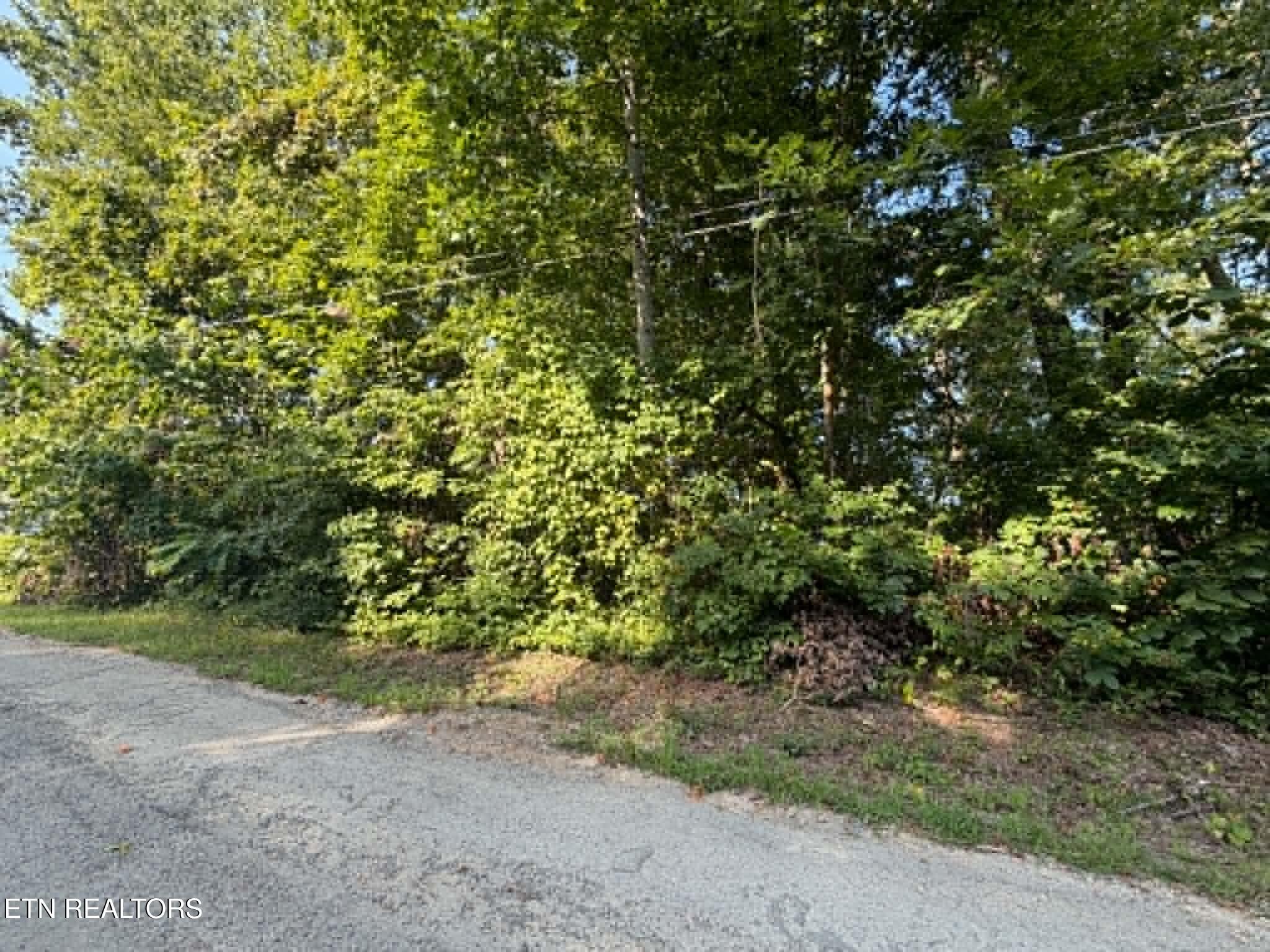 Center Lane New Tazewell TN 37825
