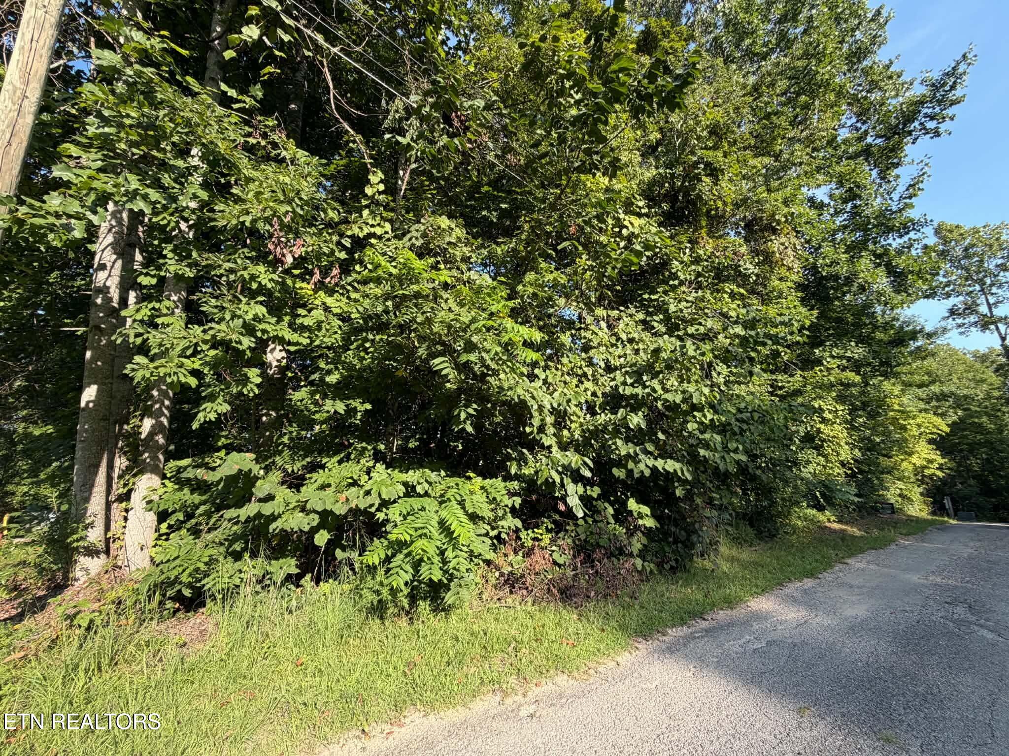 Center Lane New Tazewell TN 37825