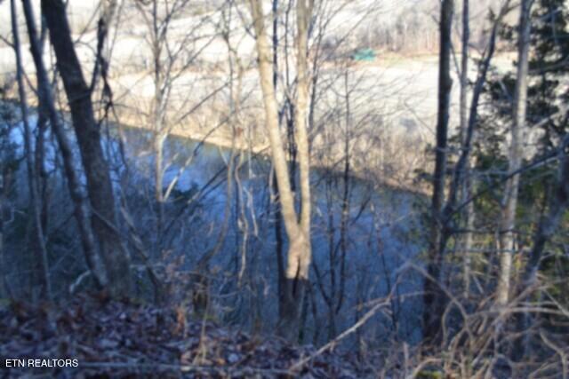 5.52AC Cabin Hill Road Celina TN 38551