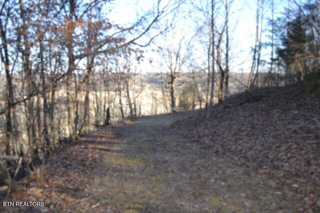 5.52AC Cabin Hill Road Celina TN 38551