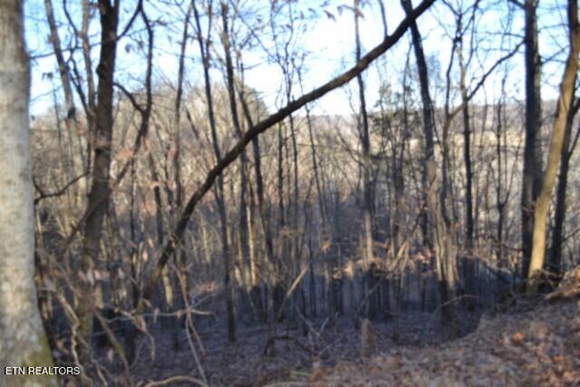 5.52AC Cabin Hill Road Celina TN 38551