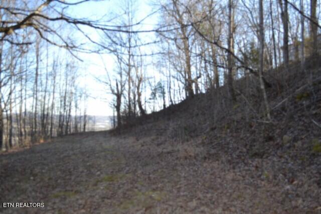 5.52AC Cabin Hill Road Celina TN 38551