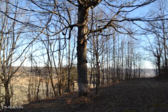 5.52AC Cabin Hill Road Celina TN 38551