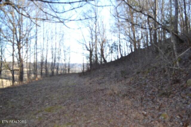 5.52AC Cabin Hill Road Celina TN 38551