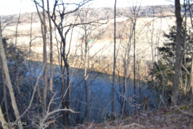 5.52AC Cabin Hill Road Celina TN 38551