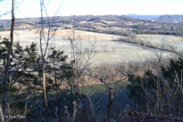 5.52AC Cabin Hill Road Celina TN 38551