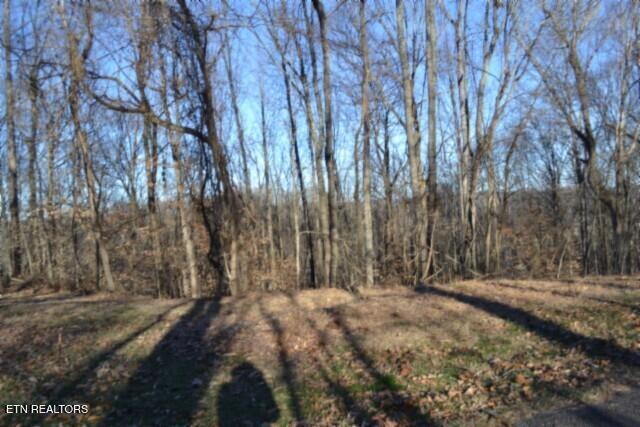 5.52AC Cabin Hill Road Celina TN 38551