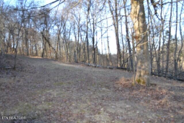 5.52AC Cabin Hill Road Celina TN 38551