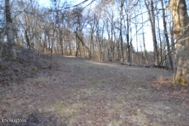 5.52AC Cabin Hill Road Celina TN 38551