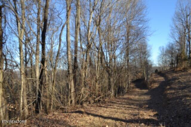 5.52AC Cabin Hill Road Celina TN 38551