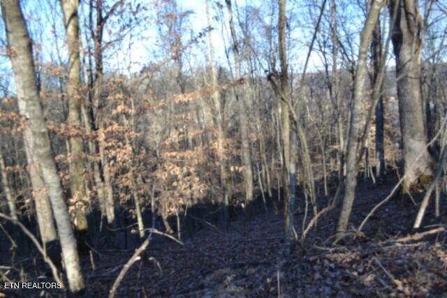 5.52AC Cabin Hill Road Celina TN 38551