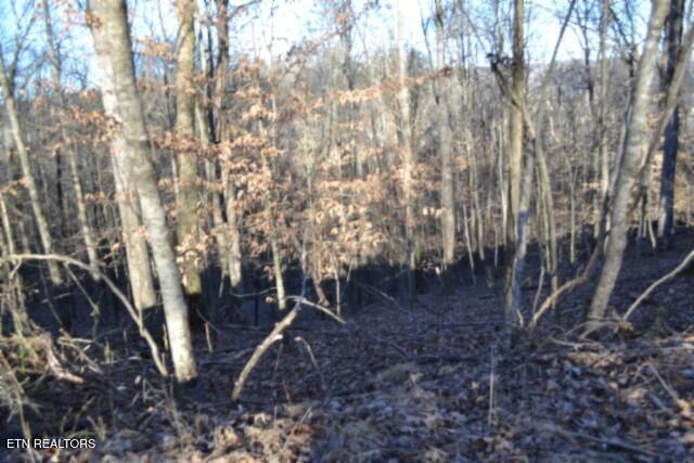 5.52AC Cabin Hill Road Celina TN 38551