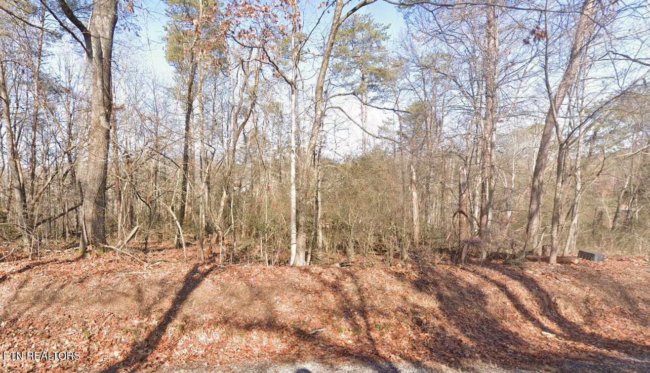 109 Chanusi Way Loudon TN 37774