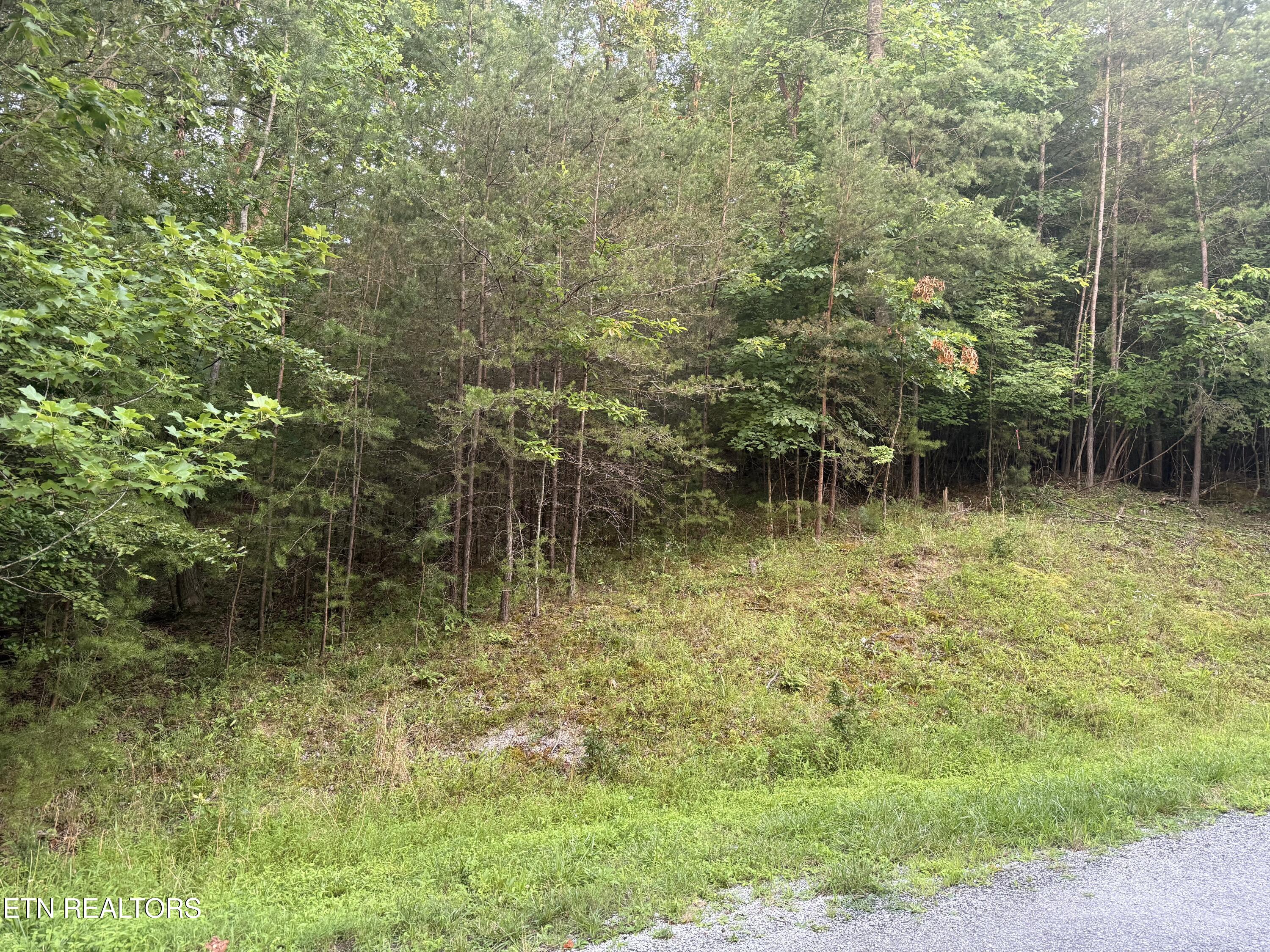 21 Valarian Terrace Crossville TN 38558