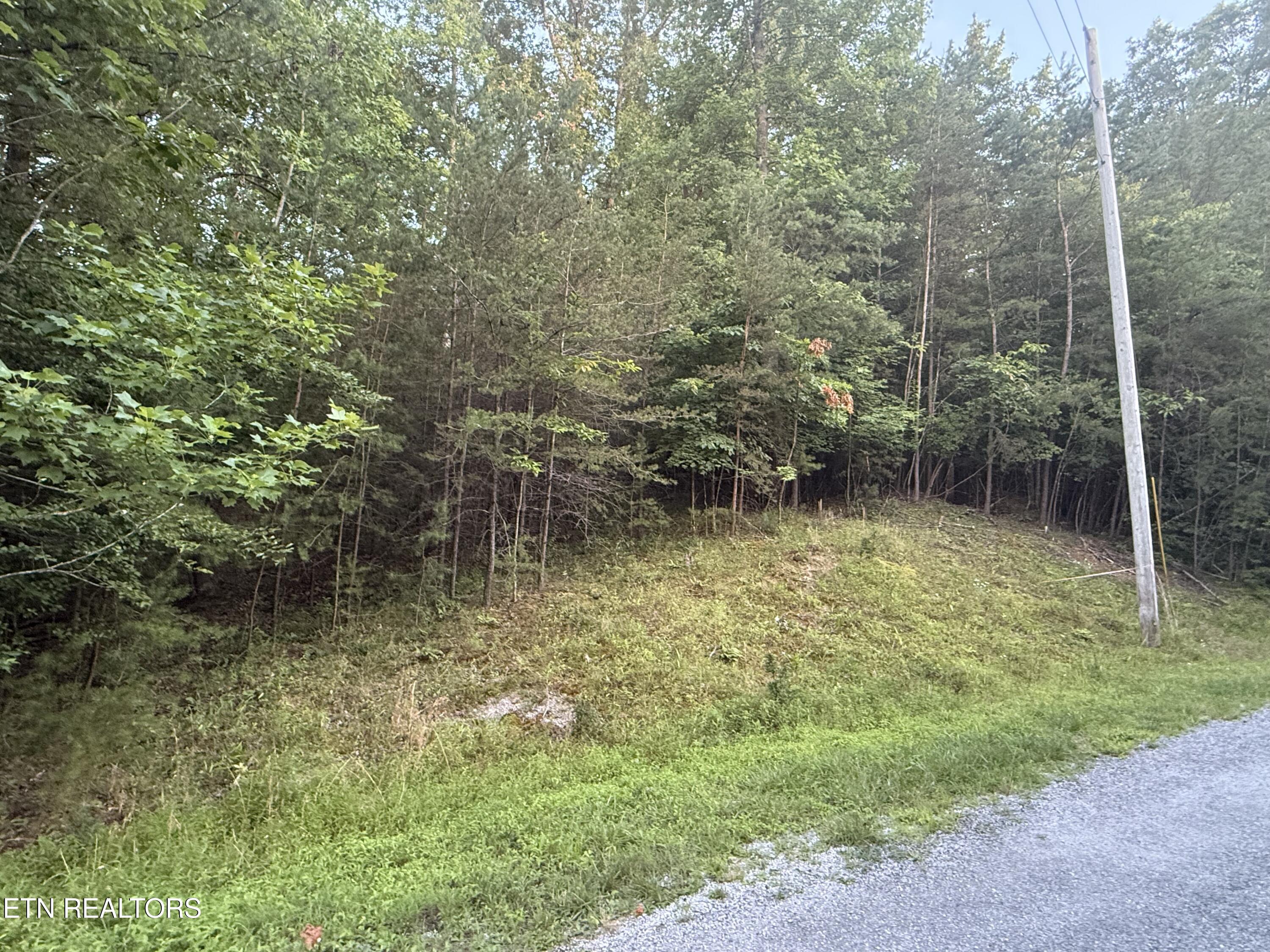 21 Valarian Terrace Crossville TN 38558