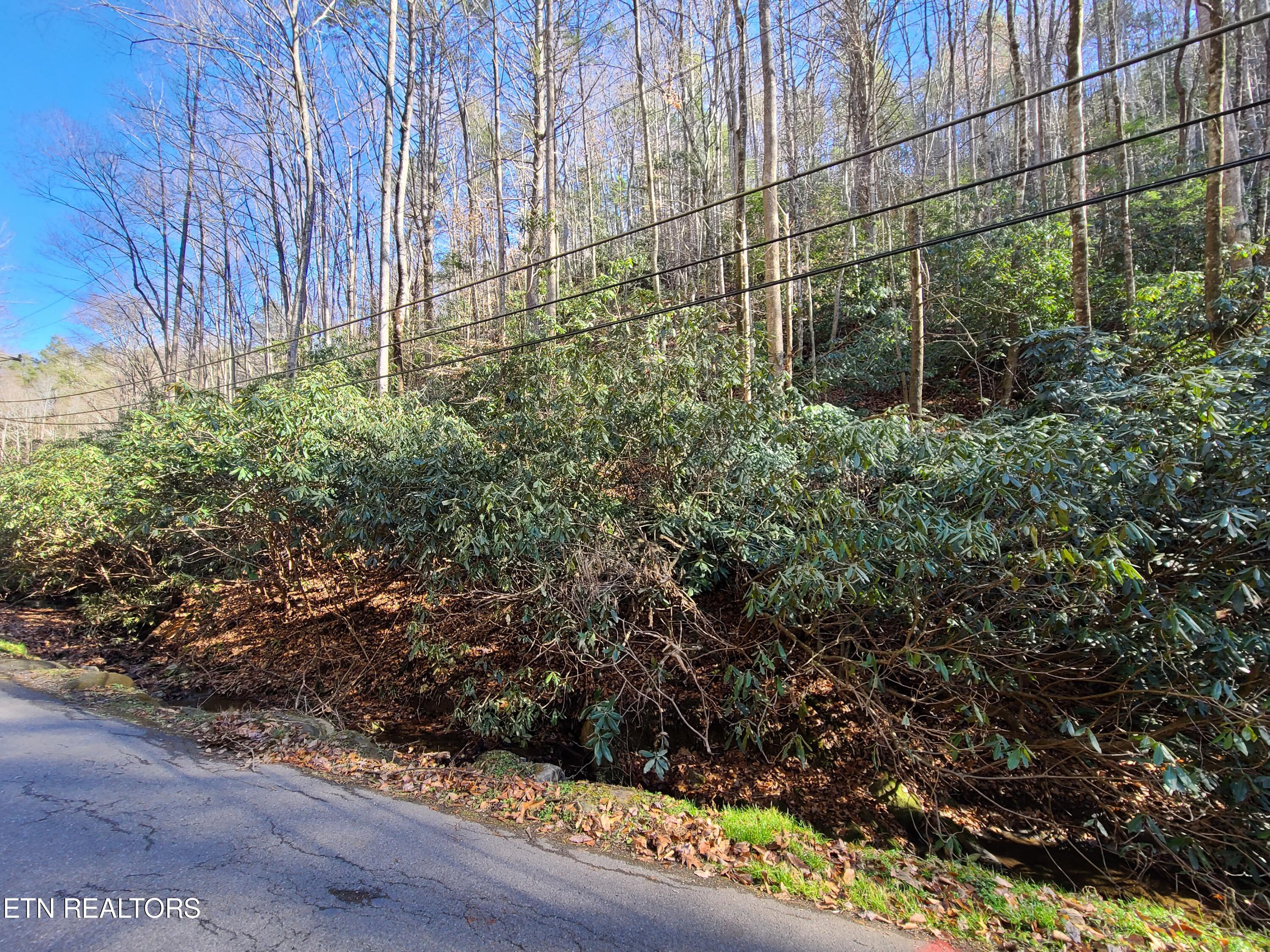 Lot 17 Butler Branch Road Gatlinburg TN 37738