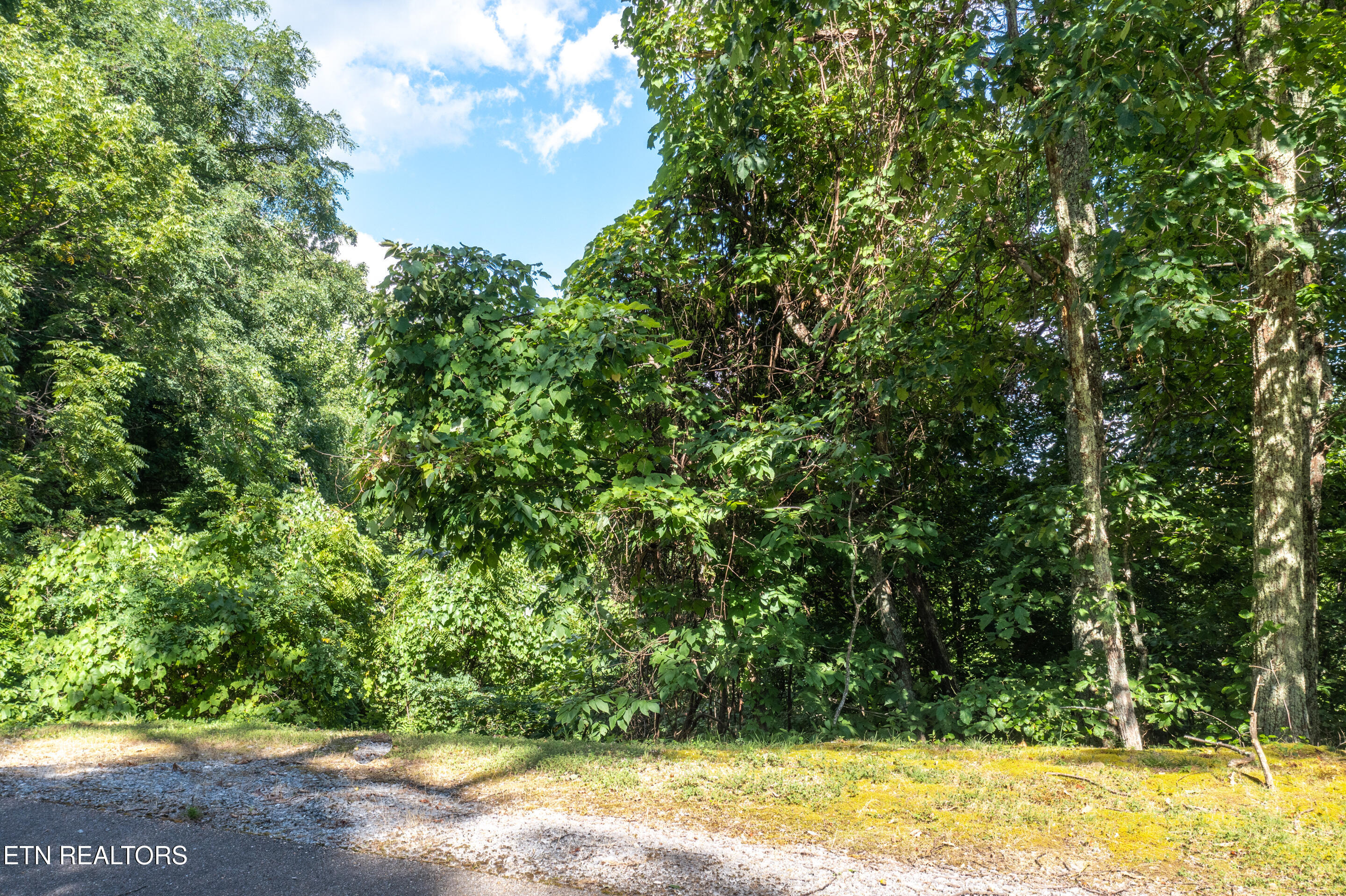 Lot 45 Cumberland Way Gatlinburg TN 37738