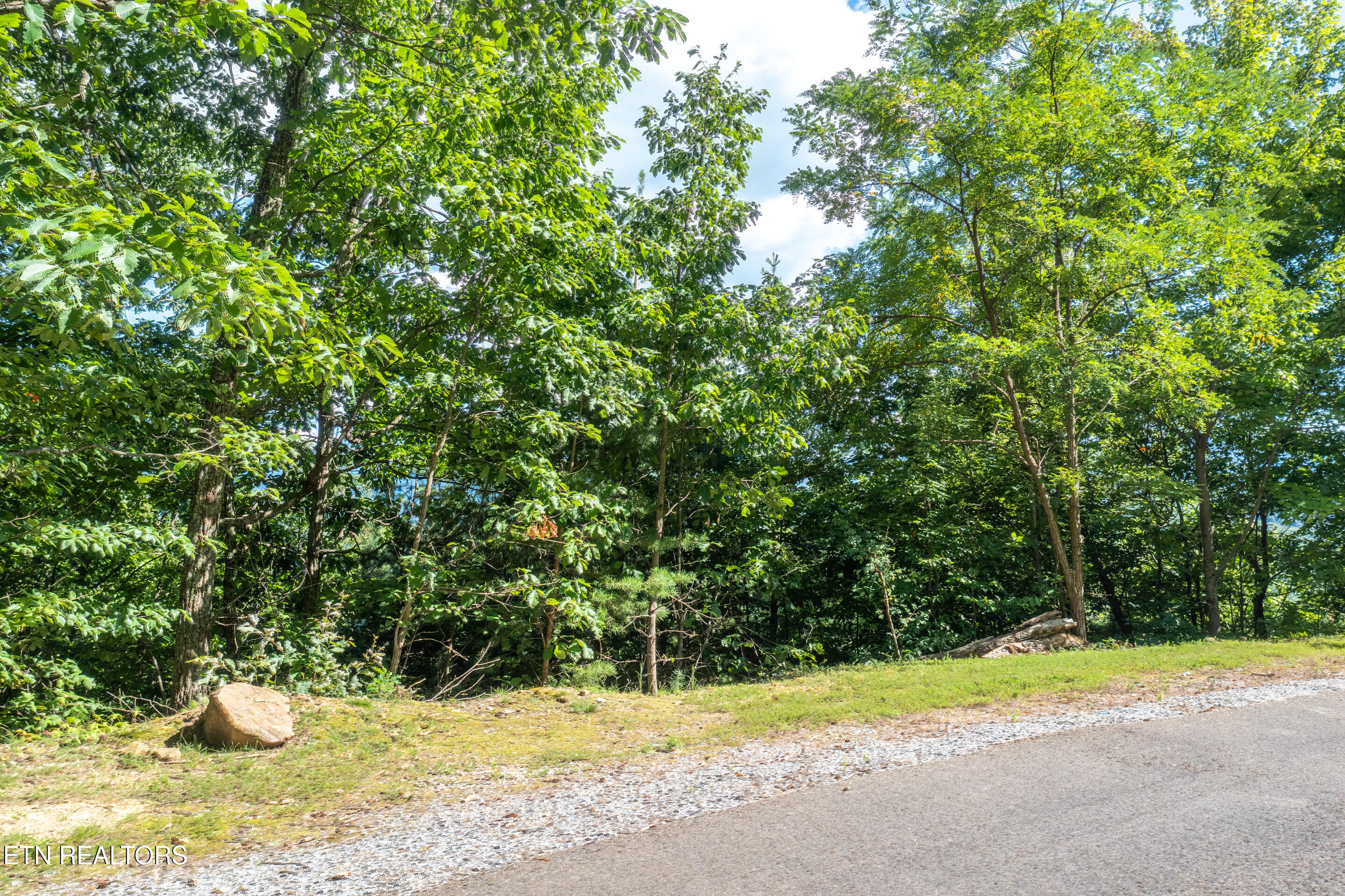 Lot 45 Cumberland Way Gatlinburg TN 37738