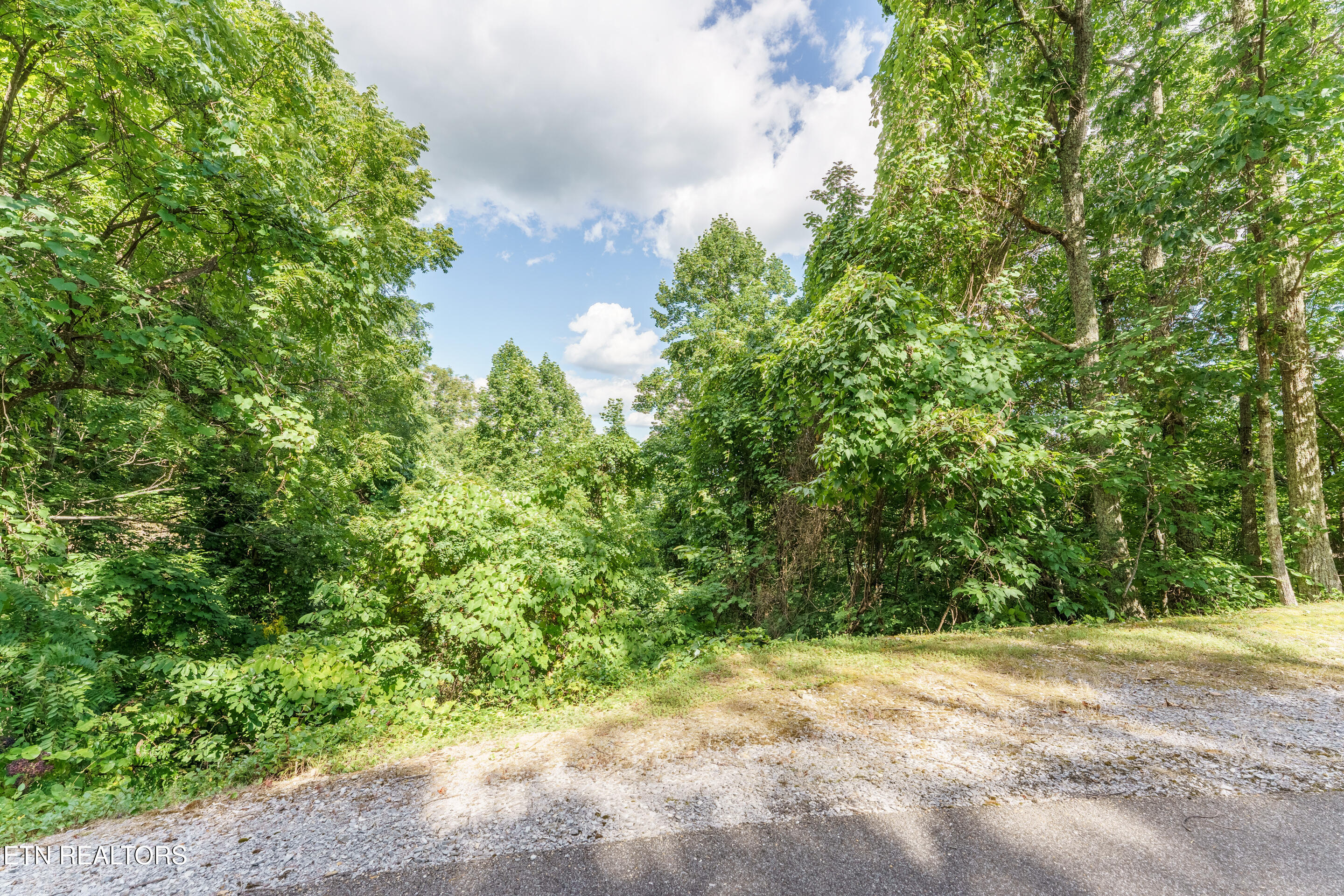 Lot 45 Cumberland Way Gatlinburg TN 37738