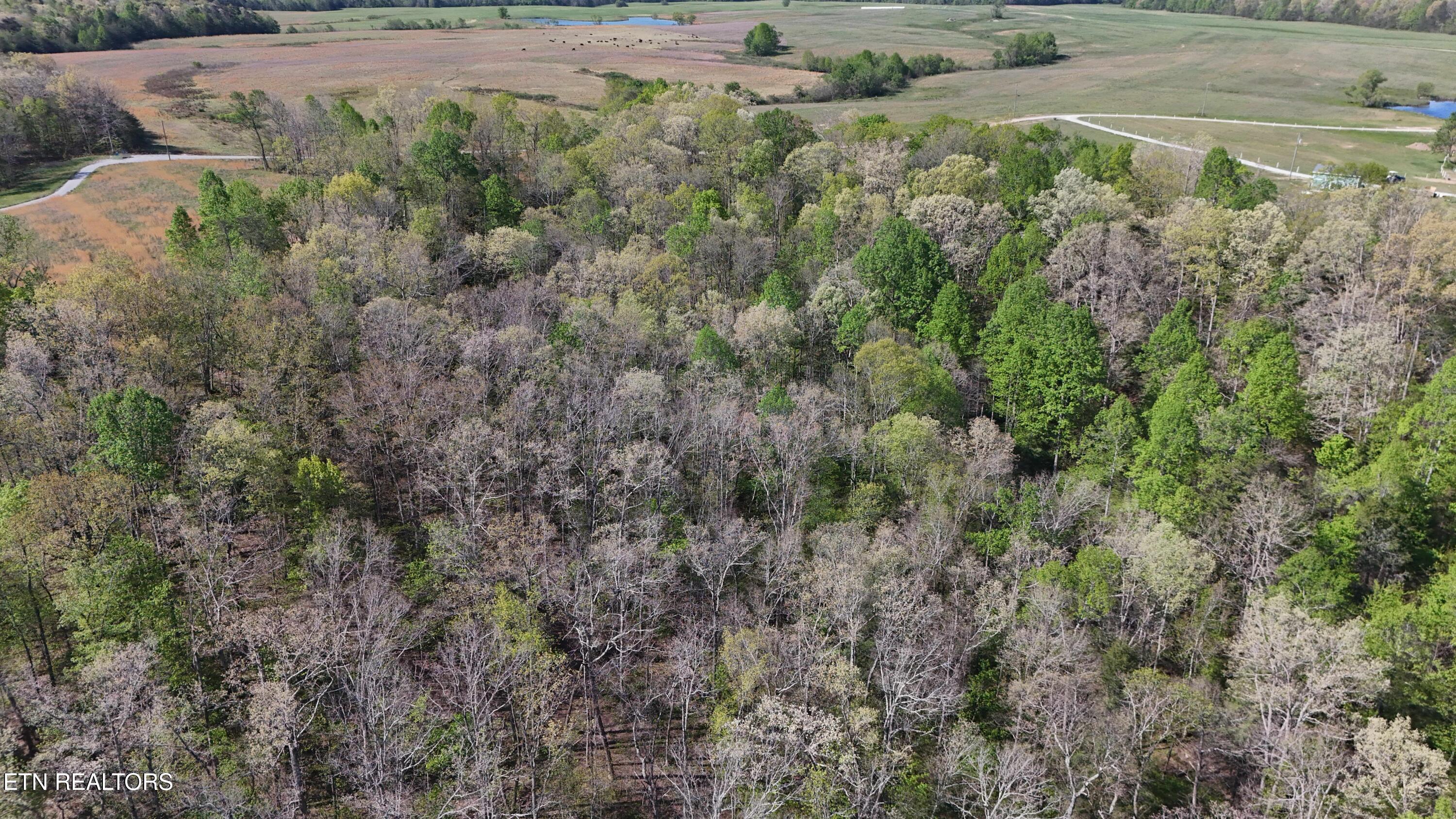 7.08AC Hollow Creek Lane Clarkrange TN 38553
