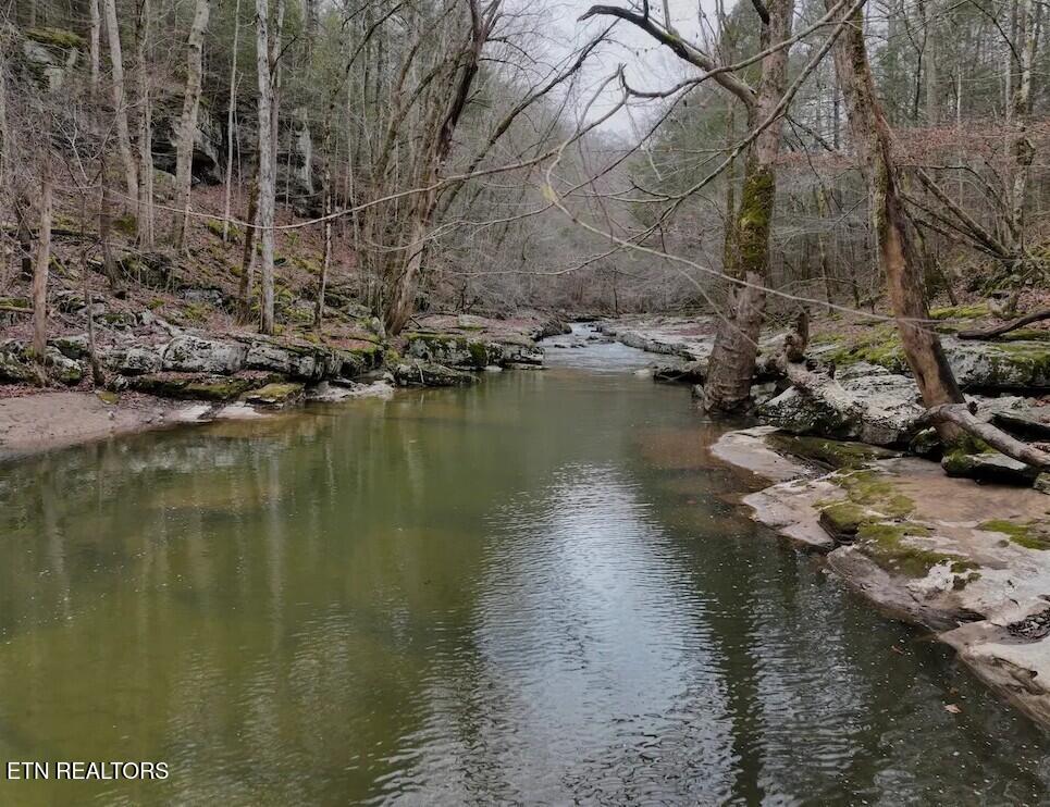 7.08AC Hollow Creek Lane Clarkrange TN 38553