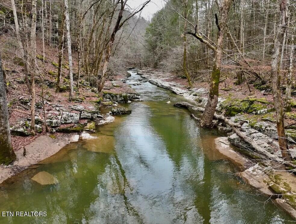 7.08AC Hollow Creek Lane Clarkrange TN 38553