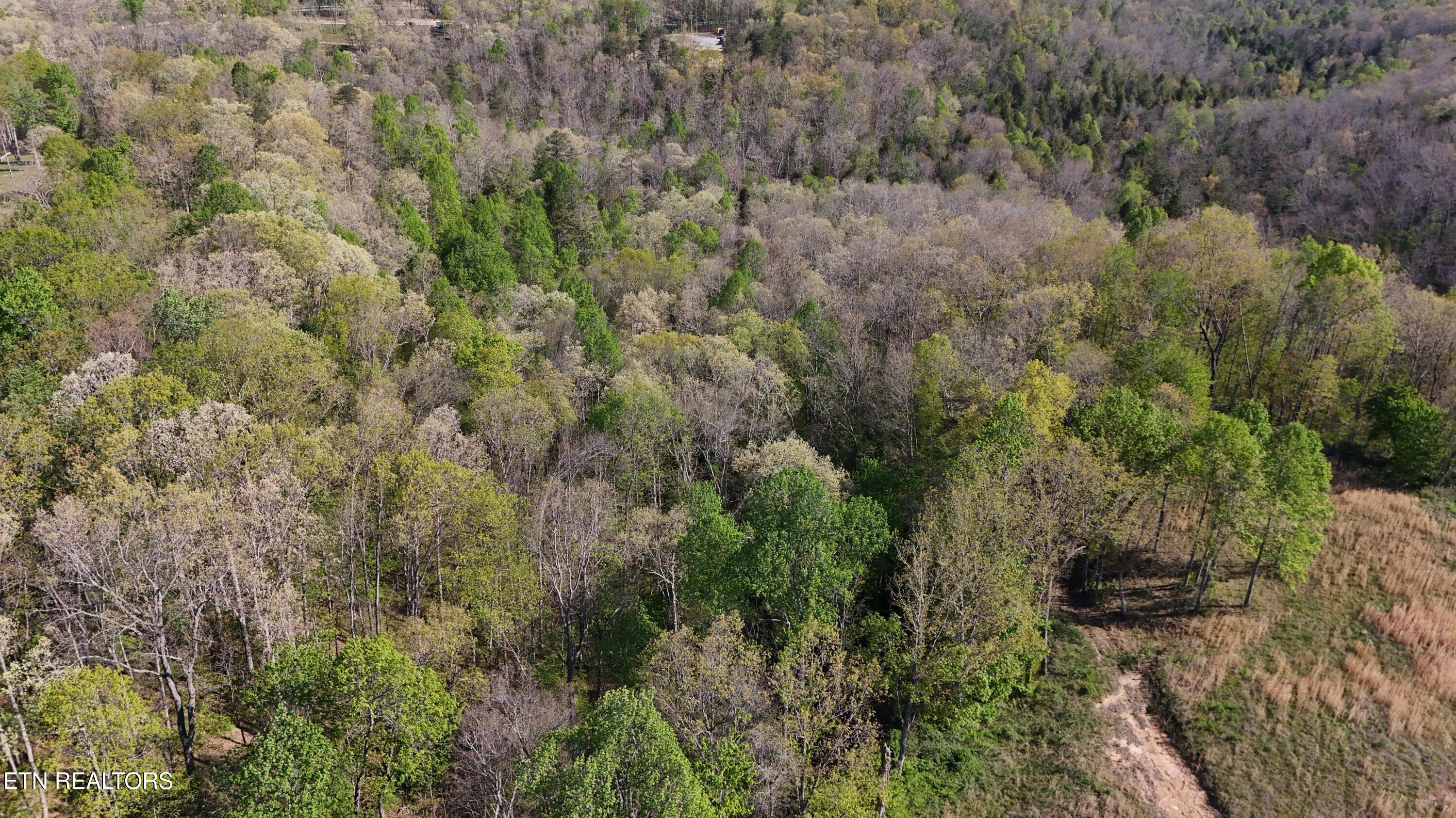7.08AC Hollow Creek Lane Clarkrange TN 38553