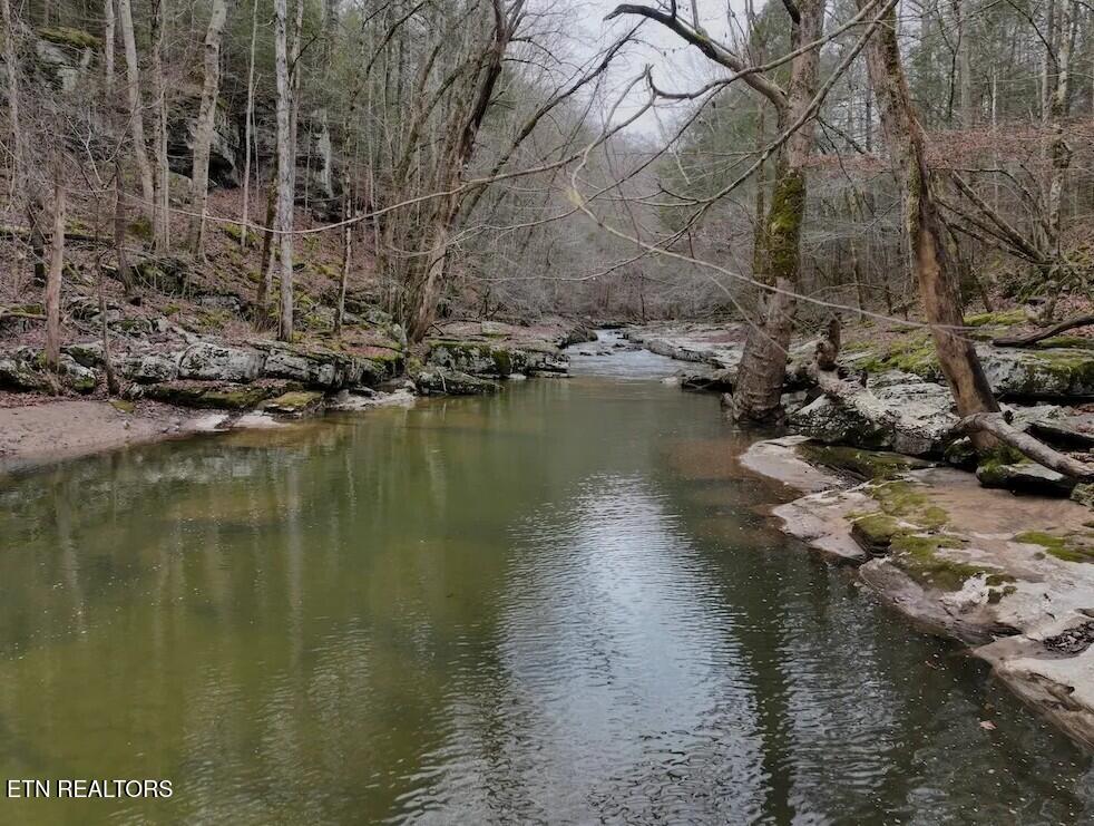 7.08AC Hollow Creek Lane Clarkrange TN 38553