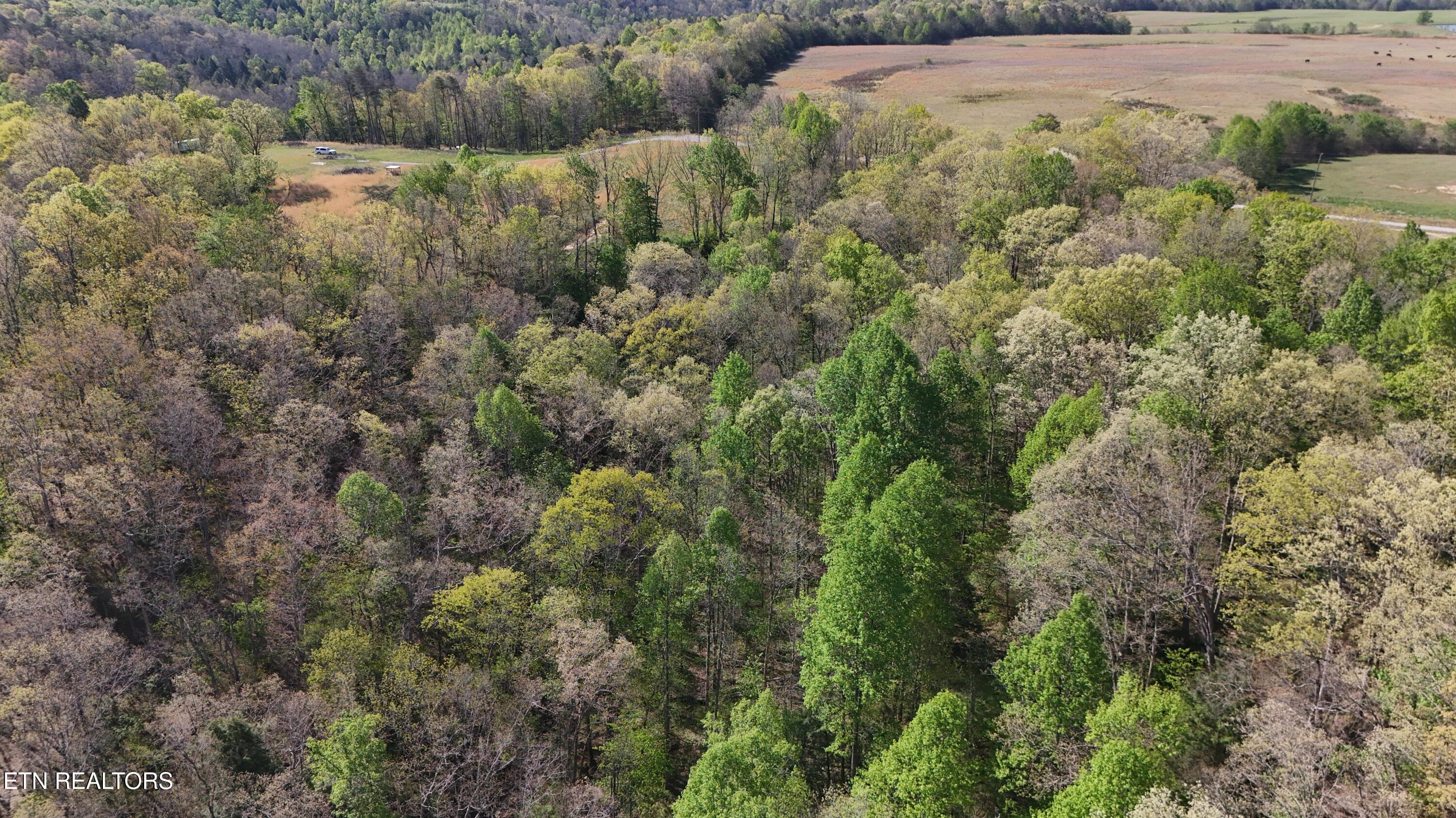 7.08AC Hollow Creek Lane Clarkrange TN 38553