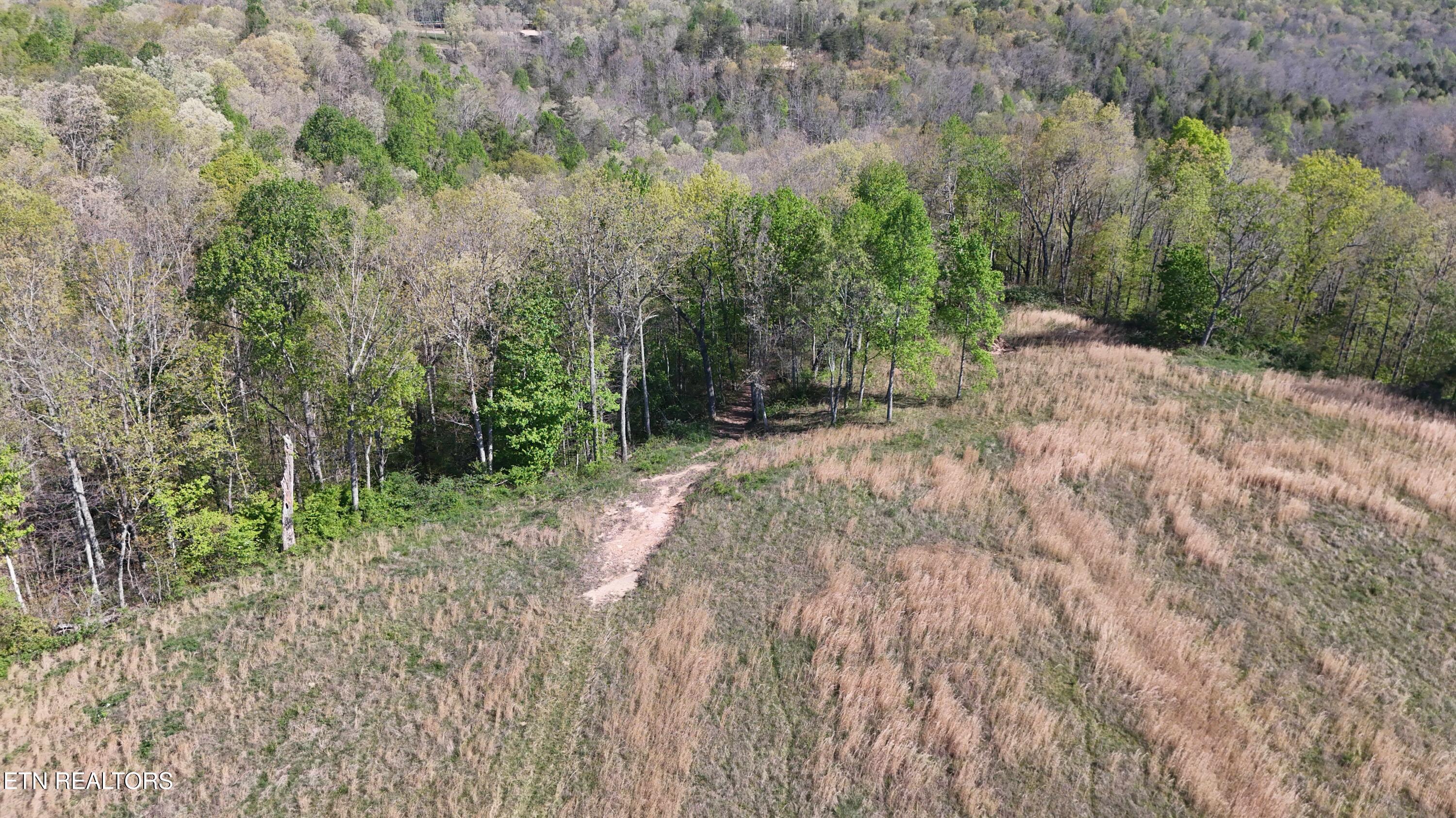 7.08AC Hollow Creek Lane Clarkrange TN 38553