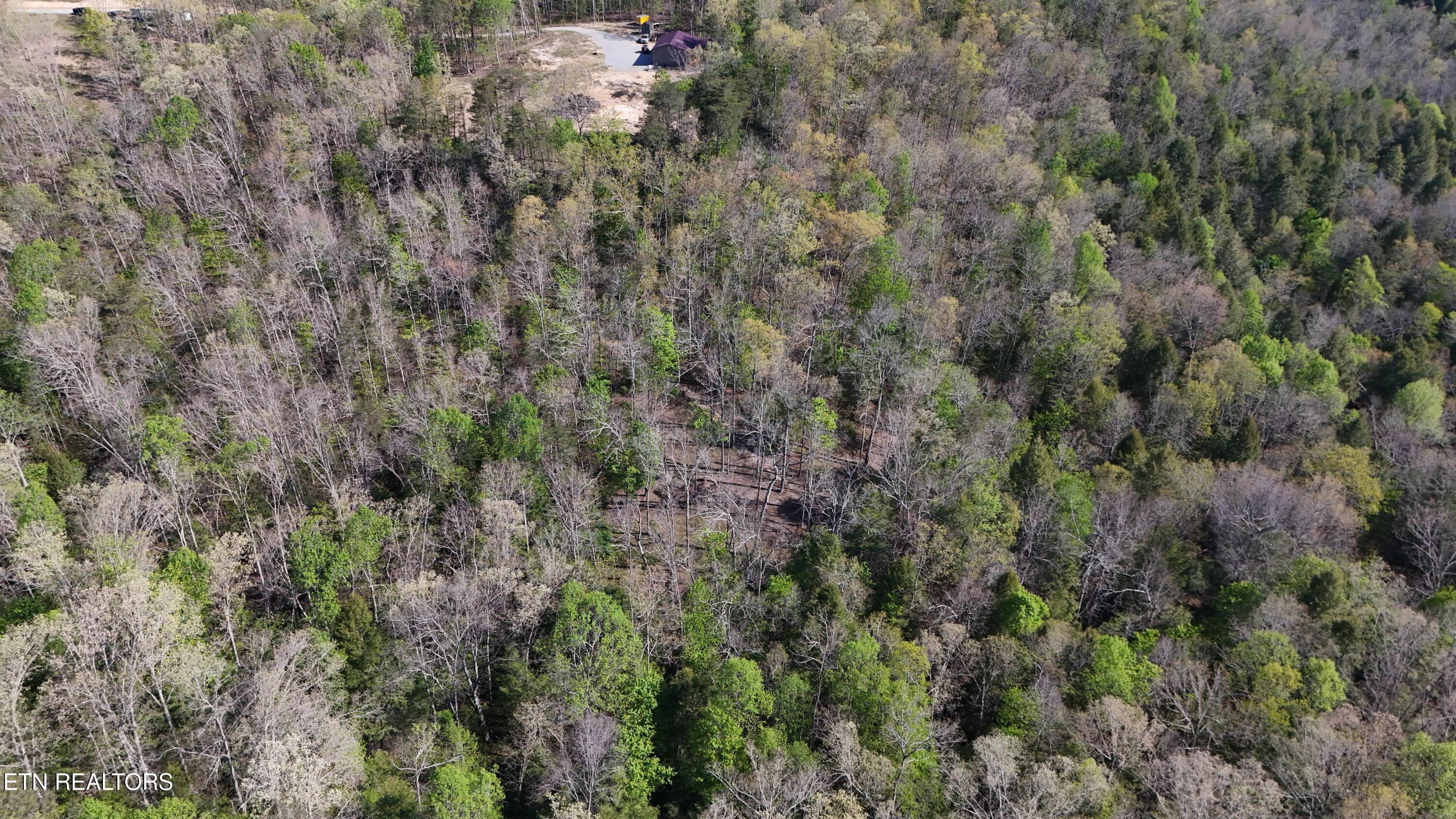 7.08AC Hollow Creek Lane Clarkrange TN 38553
