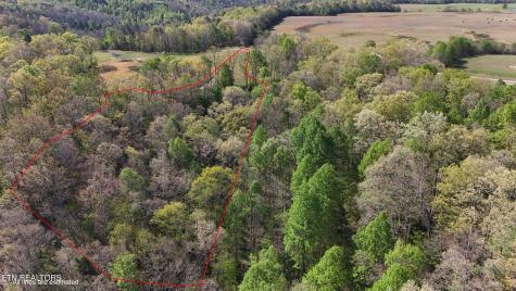7.08ac Hollow Creek Lane Clarkrange TN 38553
