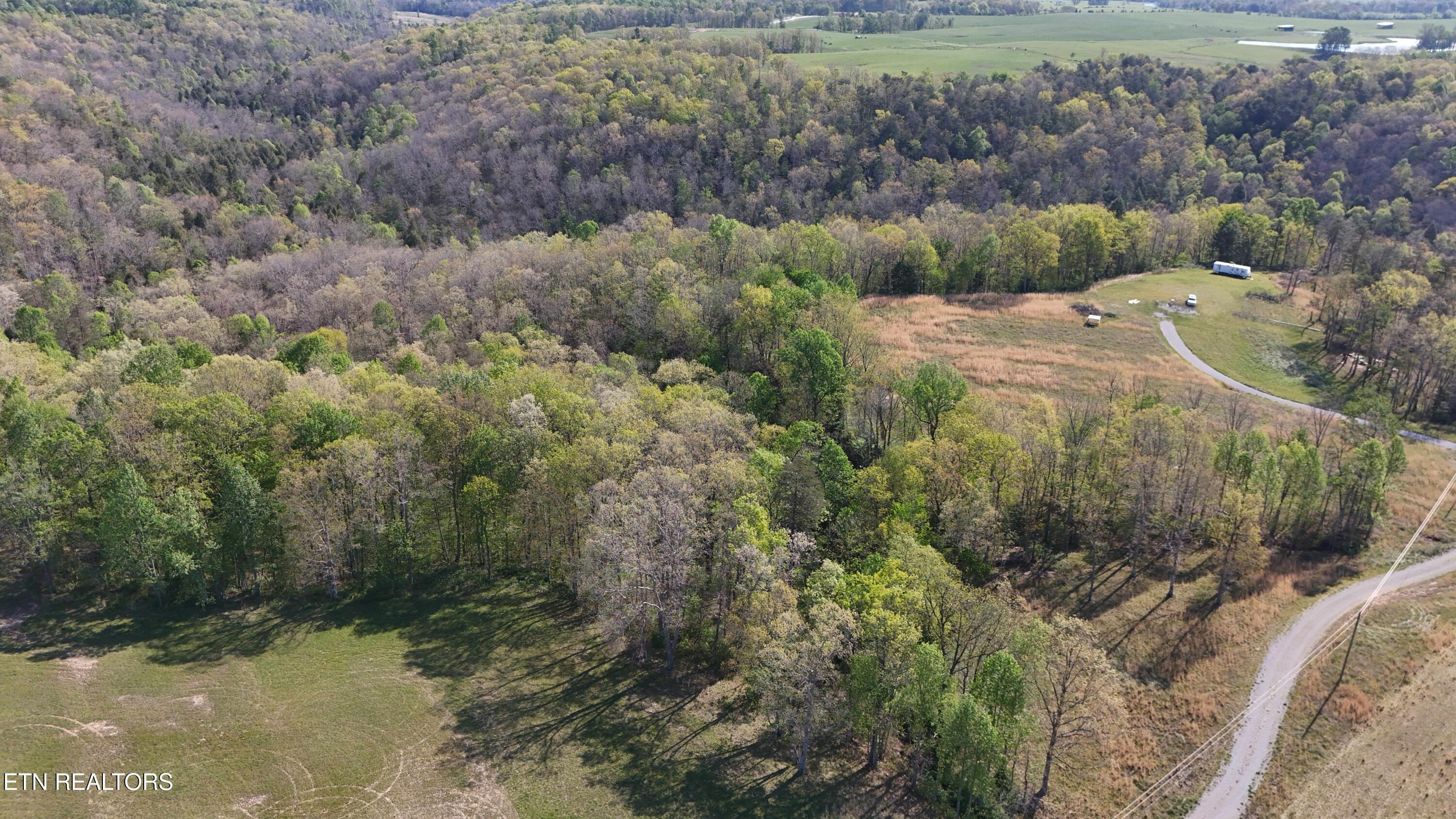 7.08AC Hollow Creek Lane Clarkrange TN 38553