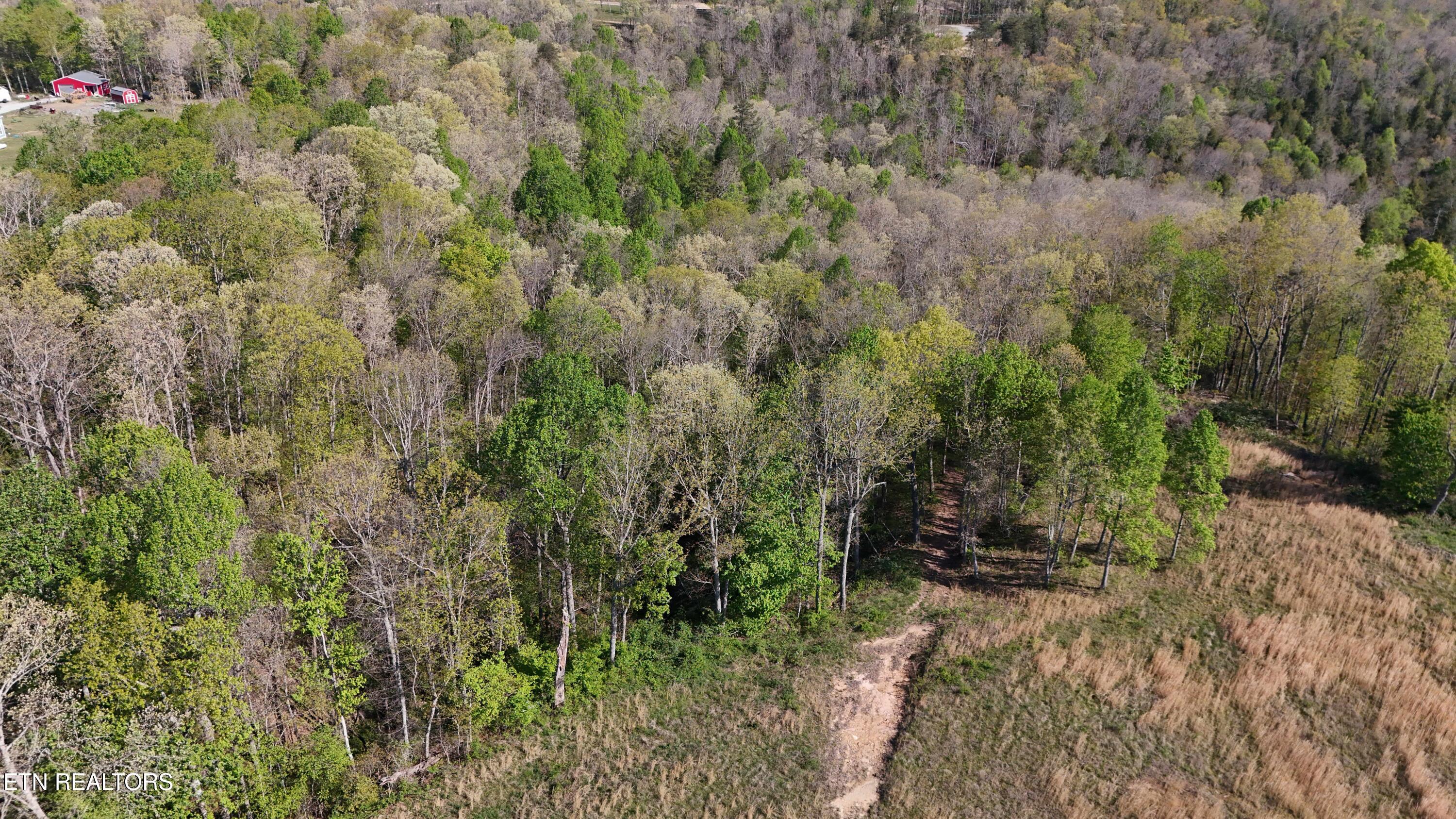 7.08AC Hollow Creek Lane Clarkrange TN 38553