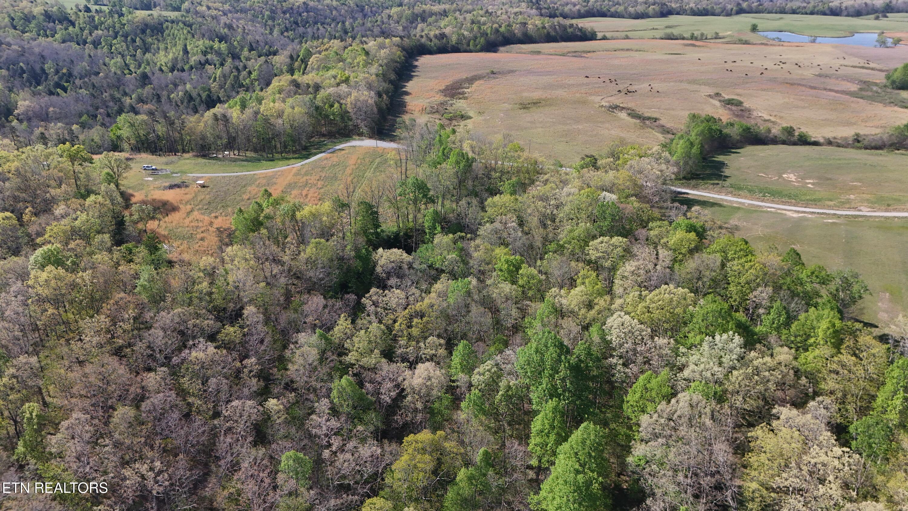 7.08AC Hollow Creek Lane Clarkrange TN 38553