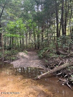 Ridge Top Drive Jamestown TN 38556
