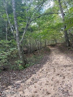 Ridge Top Drive Jamestown TN 38556