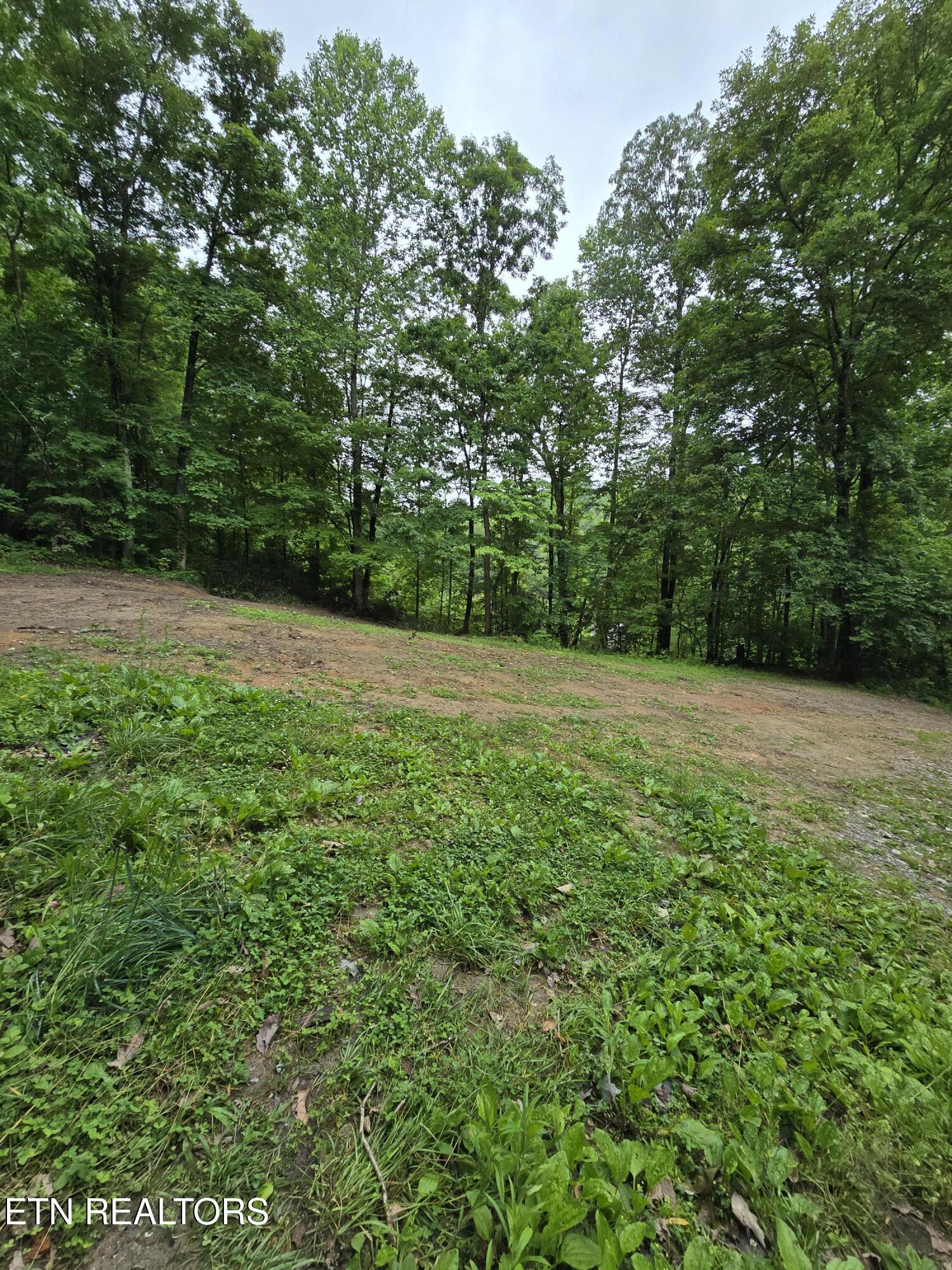 689 Ivey Hollow Road Lafollette TN 37766
