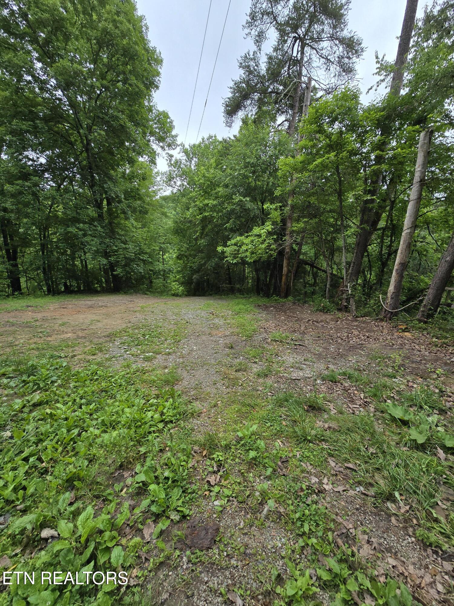 689 Ivey Hollow Road Lafollette TN 37766