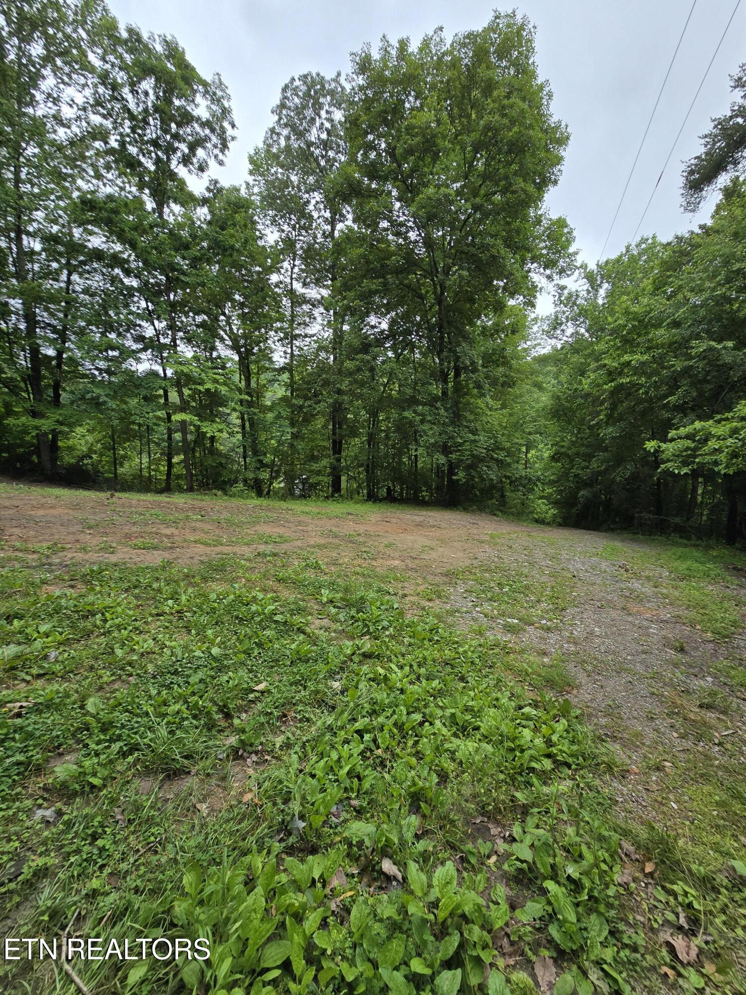 689 Ivey Hollow Road Lafollette TN 37766