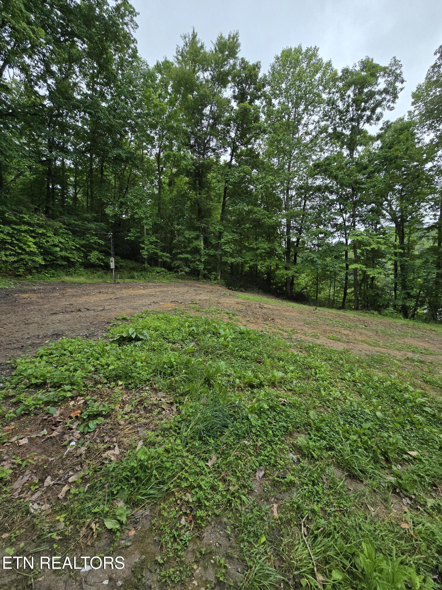 689 Ivey Hollow Road Lafollette TN 37766