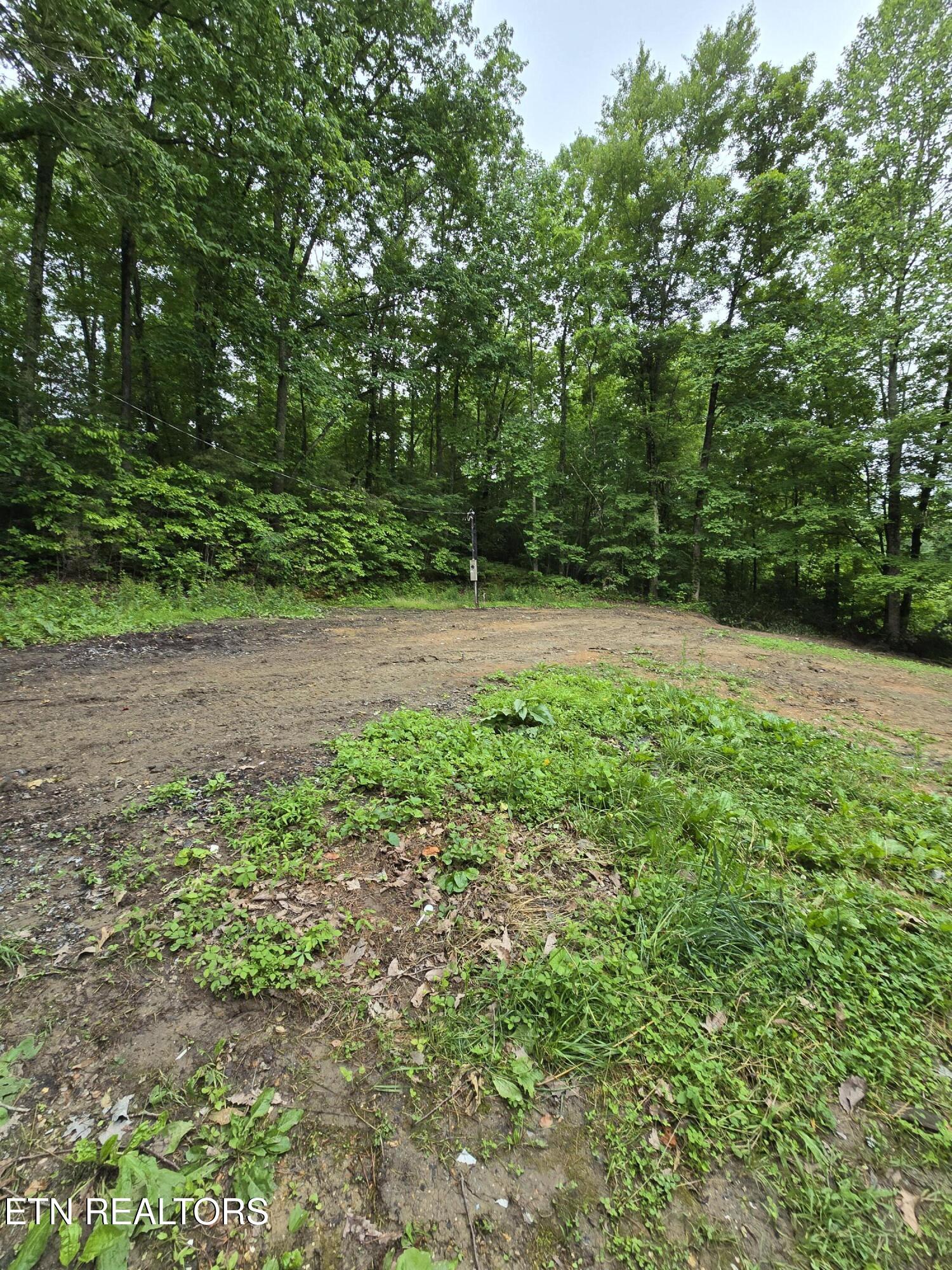 689 Ivey Hollow Road Lafollette TN 37766